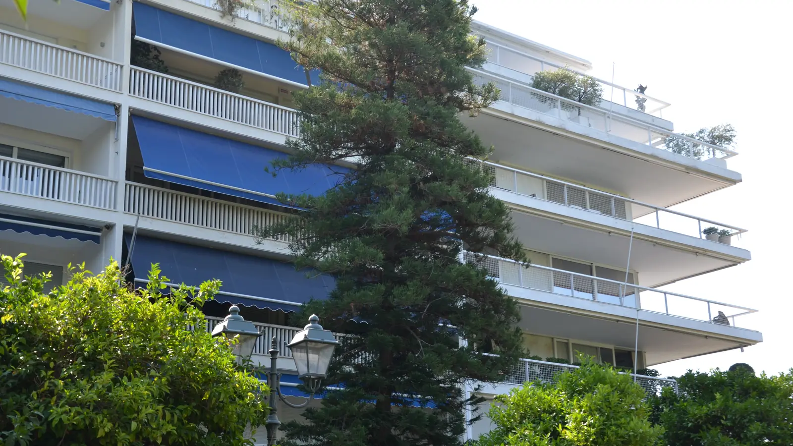 Φωτογραφία λευκής πολυκατοικίας στην Αθήνα με μπαλκόνια, τέντες και δέντρα μπροστά