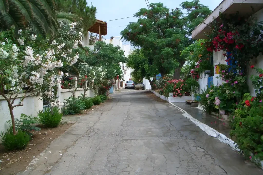 Φωτογραφία με ήσυχο δρόμο χωριού με σπίτια και λουλούδια σε ανθισμένες αυλές