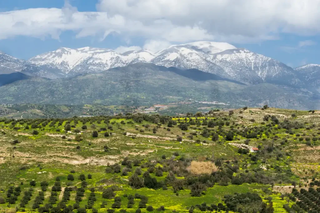 Φωτογραφία με χιονισμένα βουνά πάνω από πράσινους λόφους με ελιές, κοντά στη Φαιστό της Κρήτης